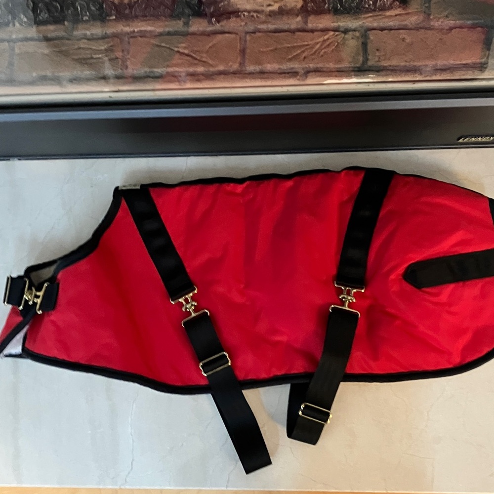 Foggy Mountain Red Dog Coat with Black Straps Size 22